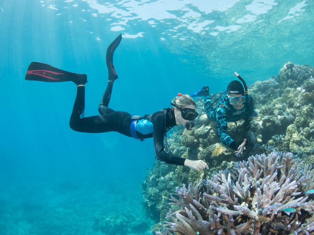 GreenCollar had a partnership with the Great Barrier Reef Foundation charity. Picture: Supplied