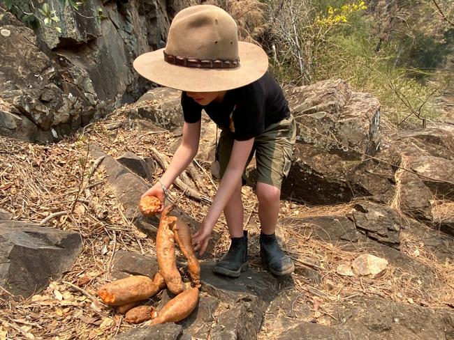 Matty Faulkner drops off sweet potatoes in northern NSW for surviving wildlife. Picture: Australian Reptile Park