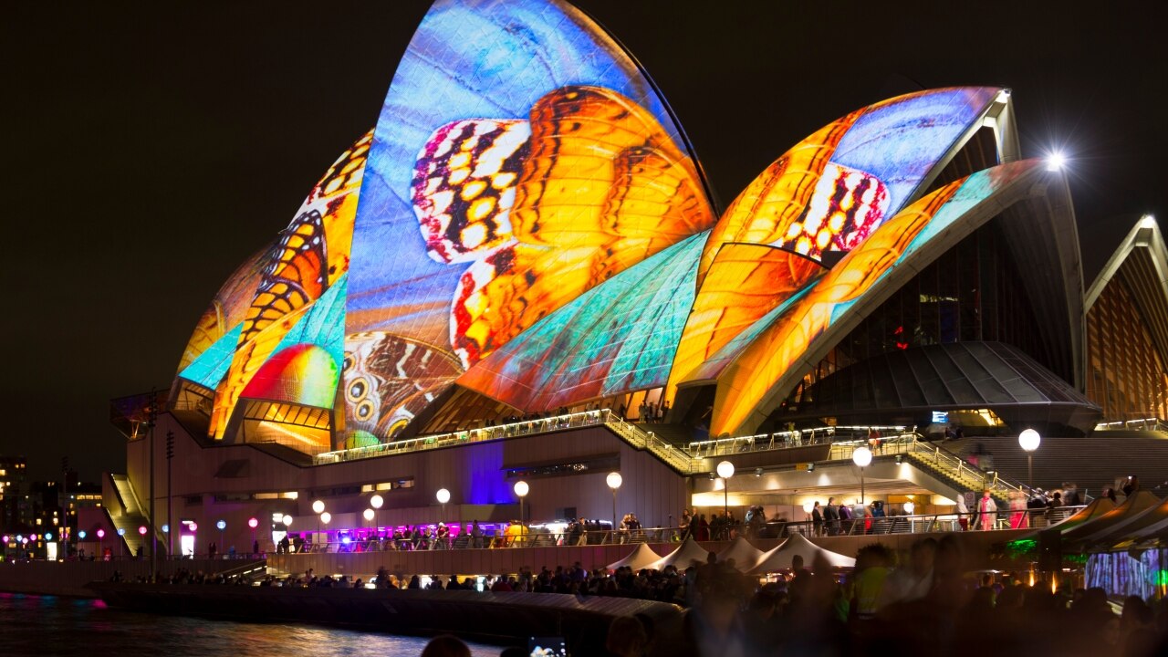 10 best things to do at Vivid in 2023