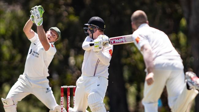 Sydney Shires Cricket is back this weekend after the season was delayed by a month due to COVID-19.