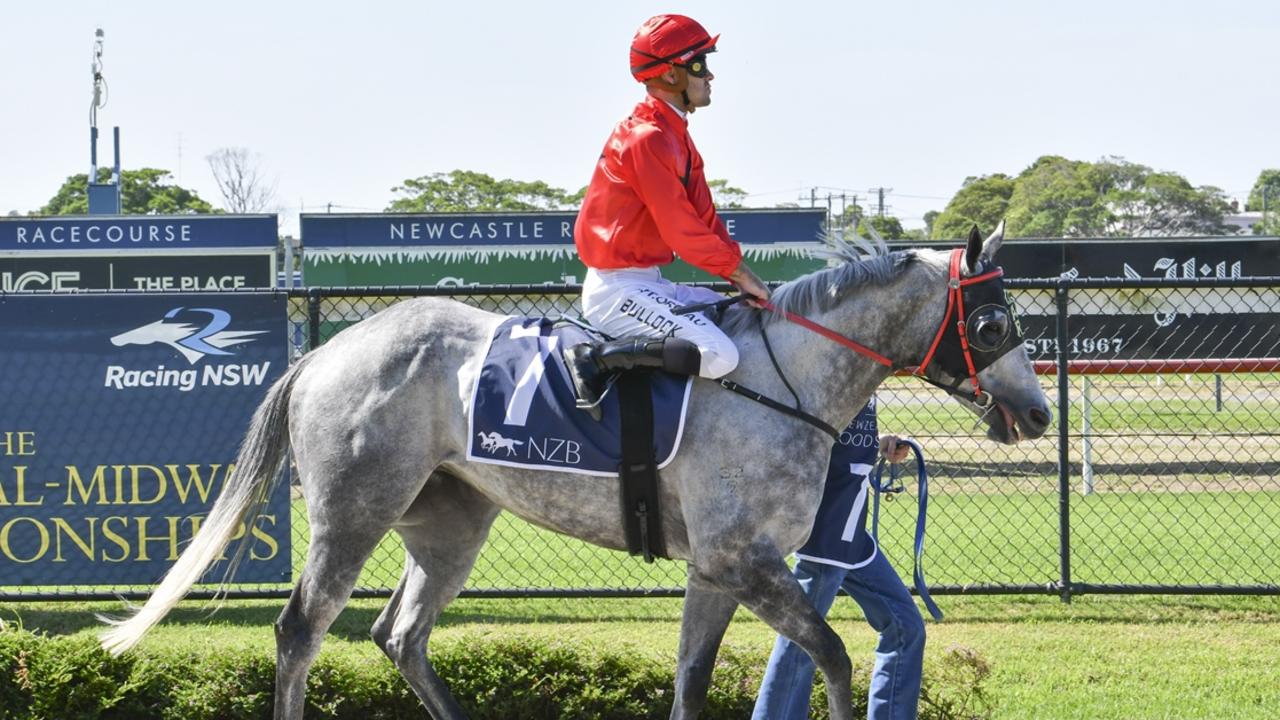 Praline can cause a minor upset in the Gilgandra Town Plate. Picture: Bradley Photos