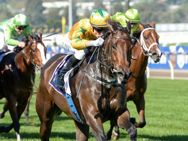 Estriella ridden by Blake Shinn wins the Sunlight Classic at Flemington Racecourse on March 30, 2024 in Flemington, Australia. (Photo by Ross Holburt/Racing Photos via Getty Images)