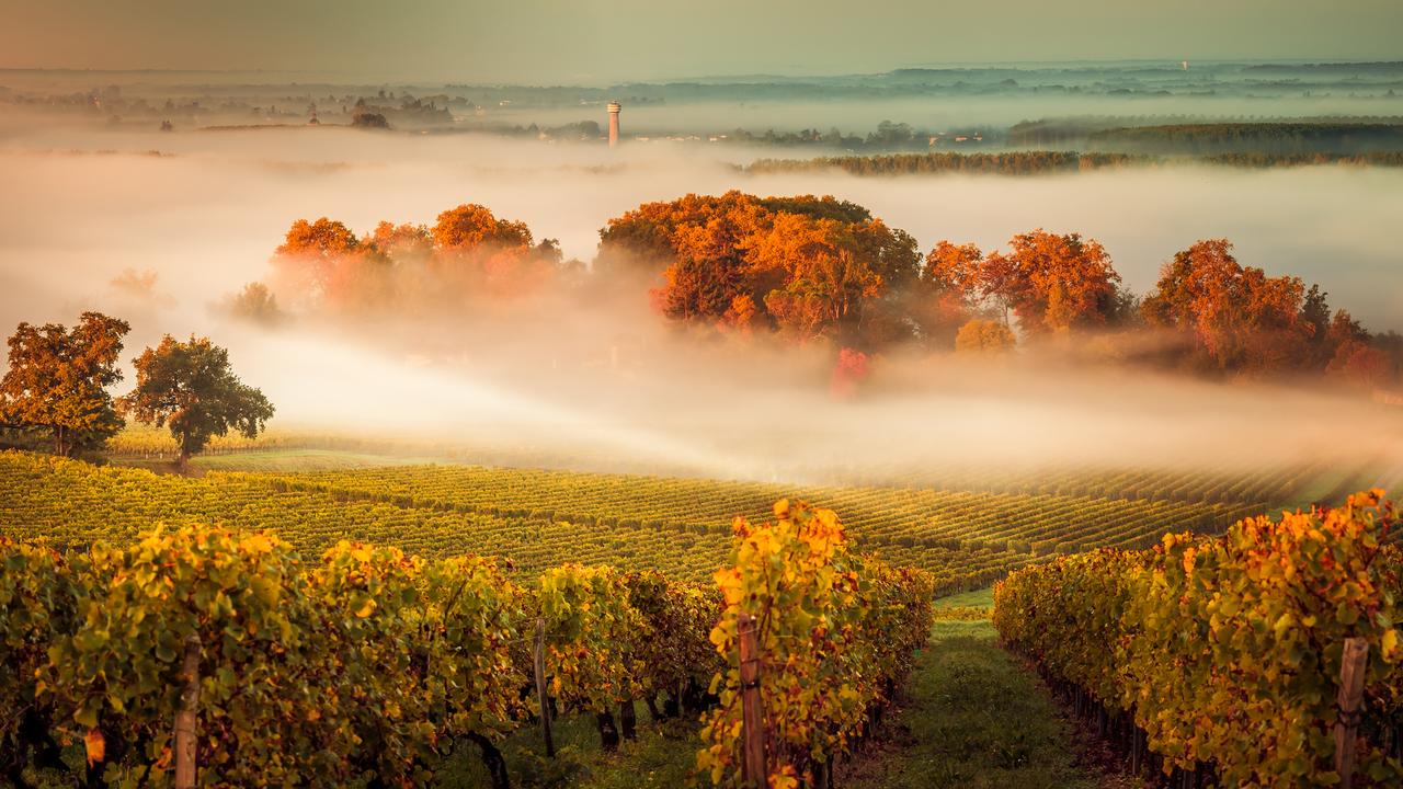 Europe: 4 best wine cruises