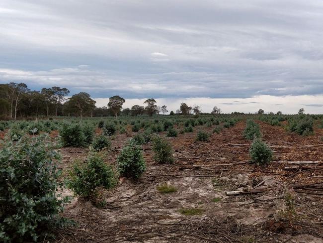 The site of the proposed Bairnsdale solar farm and battery. Picture: BNRG Leeson