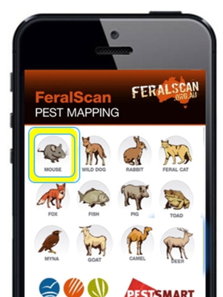 Other pests are included on the app. Picture: Supplied