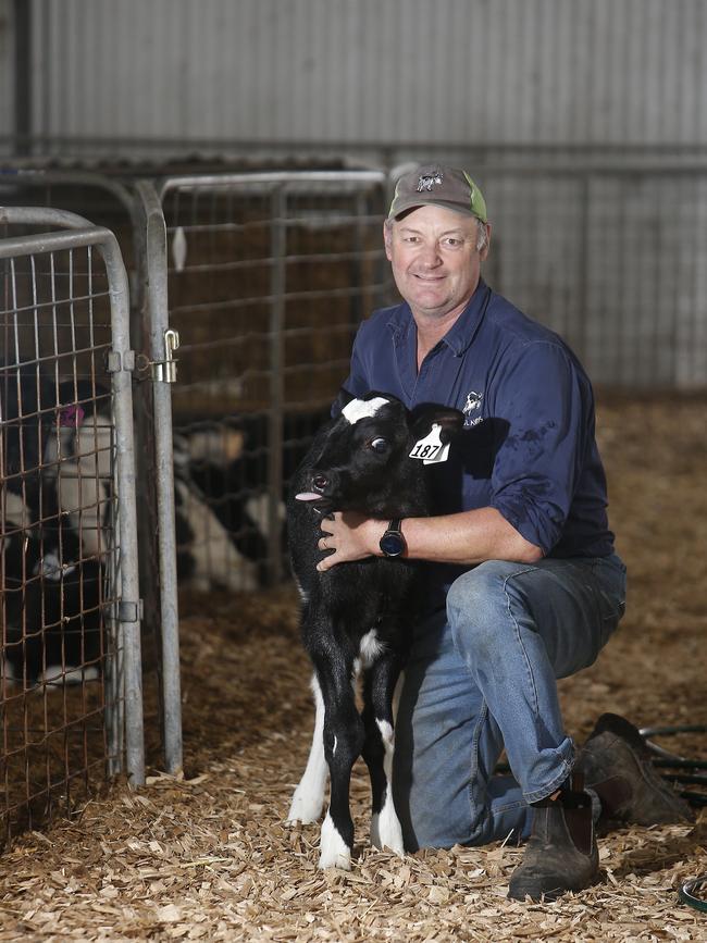 Mark Billing, United Dairyfarmers of Victoria vice president. Picture: Yuri Kouzmin