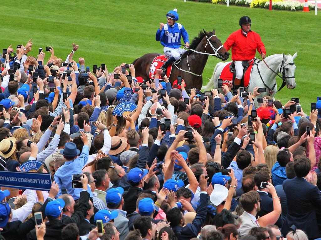 Matt Chapman riles Winx fans by challenging mare to show her worth in Cox  Plate