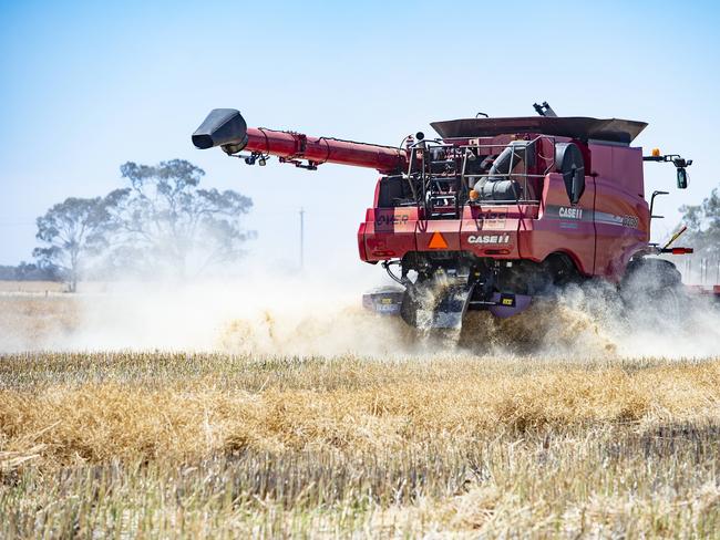 Barley is among the Australian industries hit hard by Chinese trade decisions in 2020. Picture: Zoe Phillips