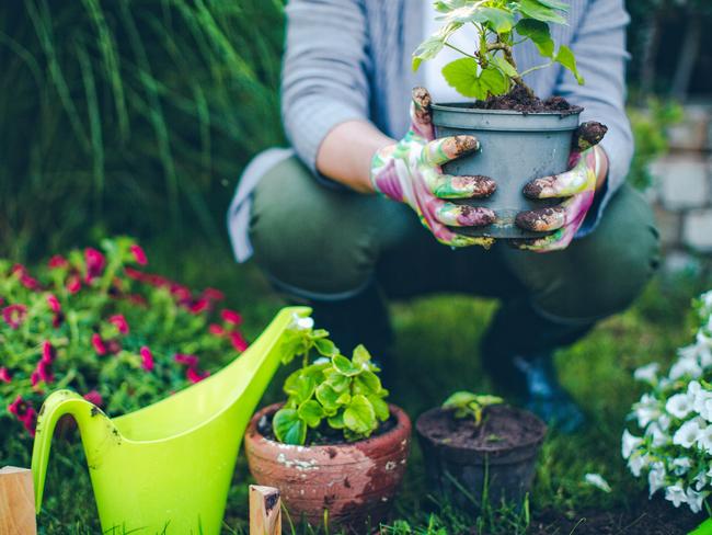 Gardening is a good workout if anything.