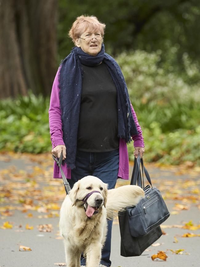 Million Paws Walk in the Adelaide Botanic Gardens, Sunday, May 28, 2023. Picture: Matt Loxton