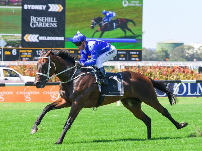 Queen of the turf Winx during her exhibition gallop on Ladies Day. Picture: AAP