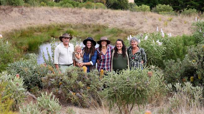 The Stewart family in the banksia plantings that surround one of their 11 dams. Picture: Andy Rogers