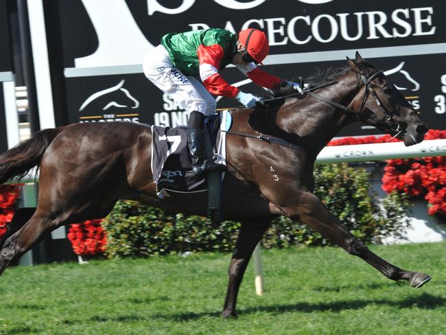 Slippery Perth filly Samovare should frank her credentials a solid performance at headquarters