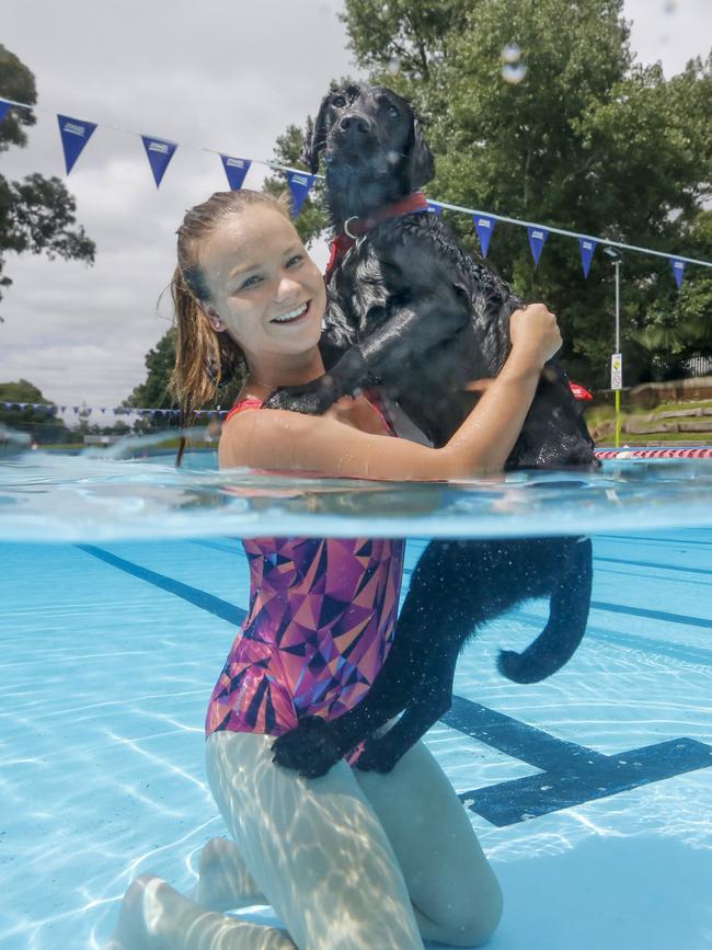 Sophia and pet Doug have a swim. Picture: Alex Coppel