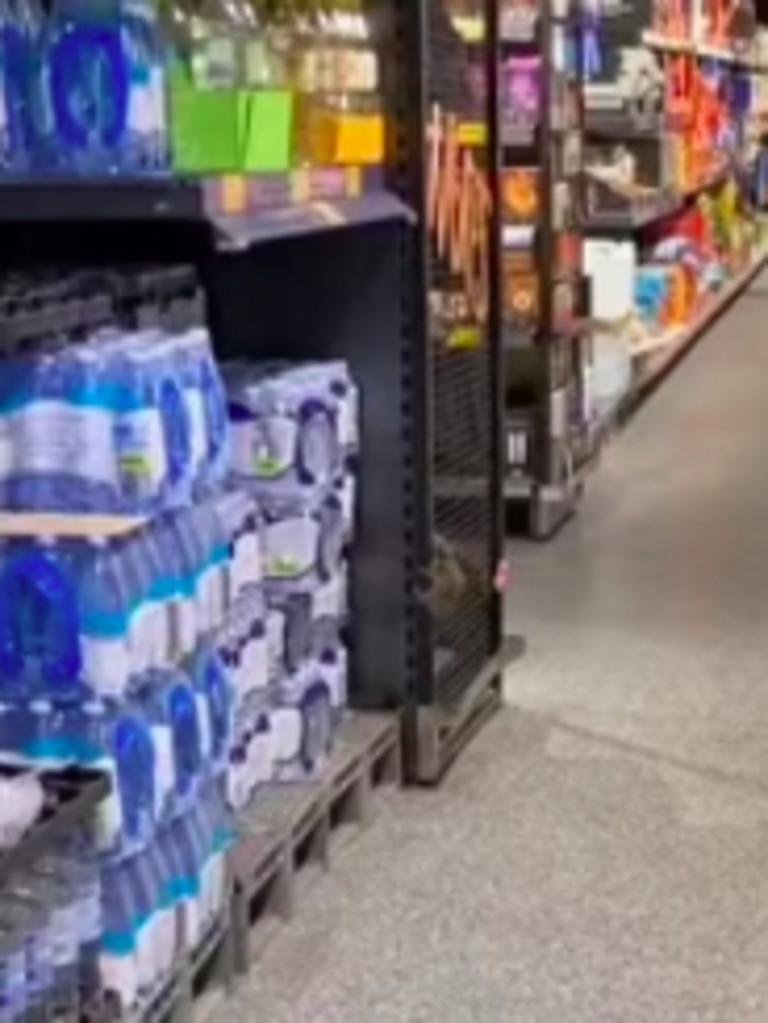 A massive rat was spotted climbing a shelf in Aldi. Picture: TikTok