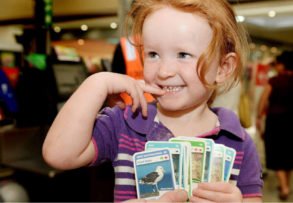 Woolworths 'overwhelmed' by popularity of animal cards | The Courier Mail