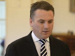 An Abbott government minister says the row over taxpayer-funded travel expenses is 'absurd'.