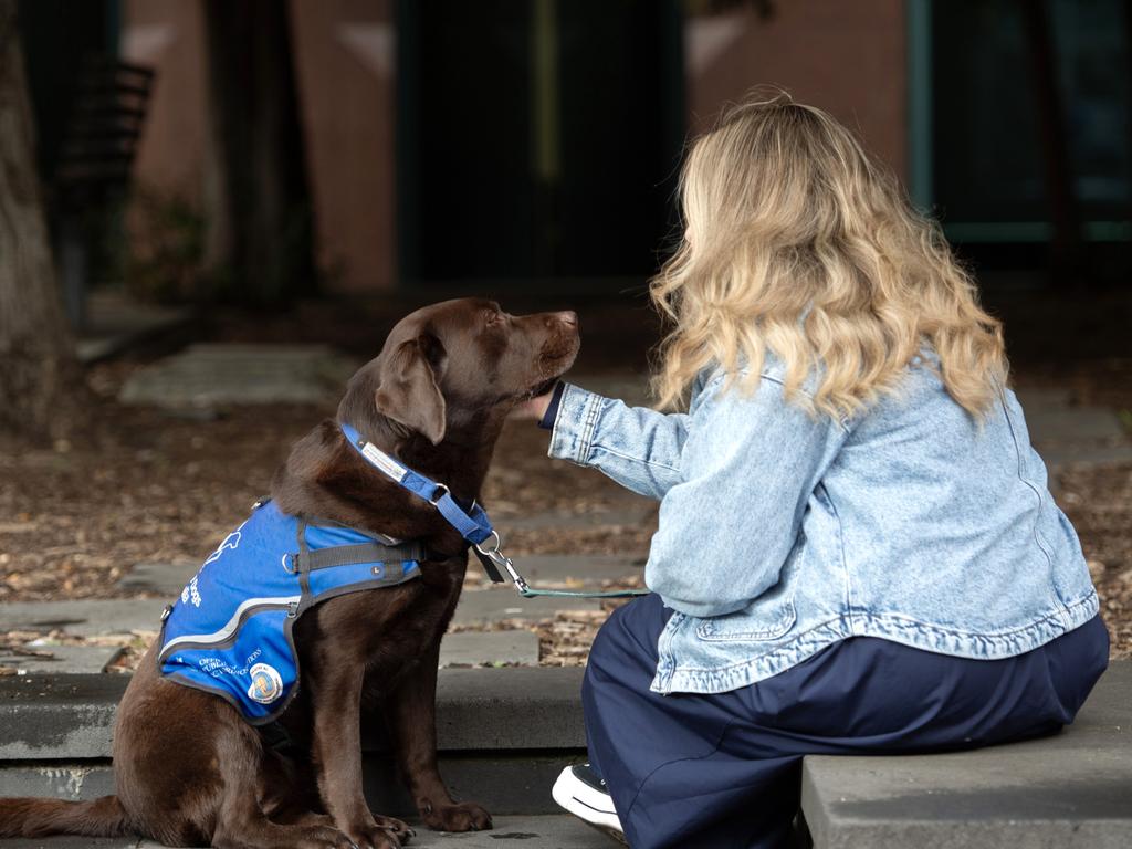 Grace, pictured with court support dog Lucy. Picture: Nicki Connolly/news.com.au