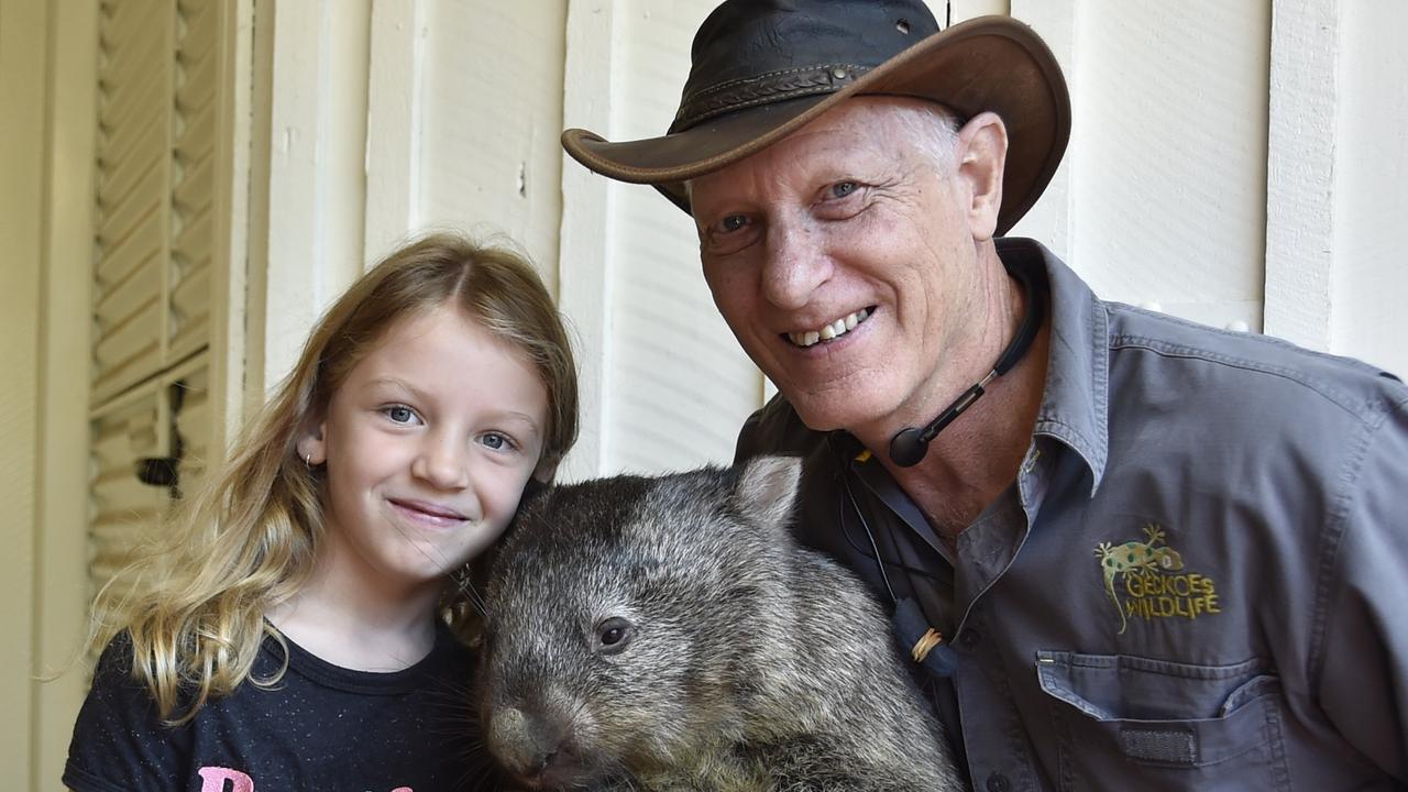 WILDLIFE WARRIORS: Step into the shoes of a wildlife warrior and learn about all of Australia’s amazing animals these school holidays at the Cobb and Co Museum. Poppy Perkins meets Bumpy the Wombat with Martin Fingland at the Cobb-co Museum holiday activities back in April 2019. Picture: File