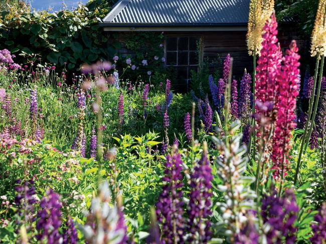 EMBARGO FOR TWAM 09 MAR 2024. FEE MAY APPLY.Tasmanian Gardens by Meg Bignell and Alice Bennett, published by Thames & Hudson Australia, AUD$79.99, available 27 February 2024.Photo: Richard Bennett