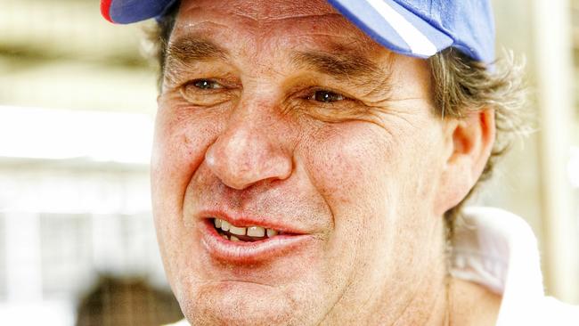 Trainer Stuart Webb believes Ana Royale can turn the tables of Kenedna and Egg Tart at Doomben. Picture: Colleen Petch