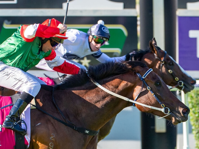 Overpass defeats Amelia's Jewel in a remarkable photo finish to the inaugural The Quokka Picture: Western Race Pix