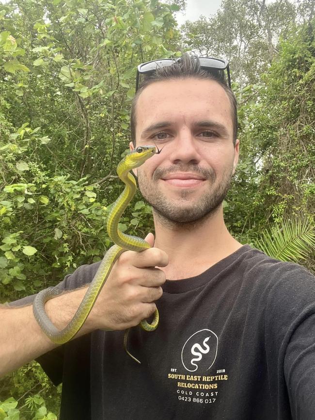 Mitch Thornburn catches and relocates snakes for a living. Picture: Gold Coast Snake Catcher/Facebook