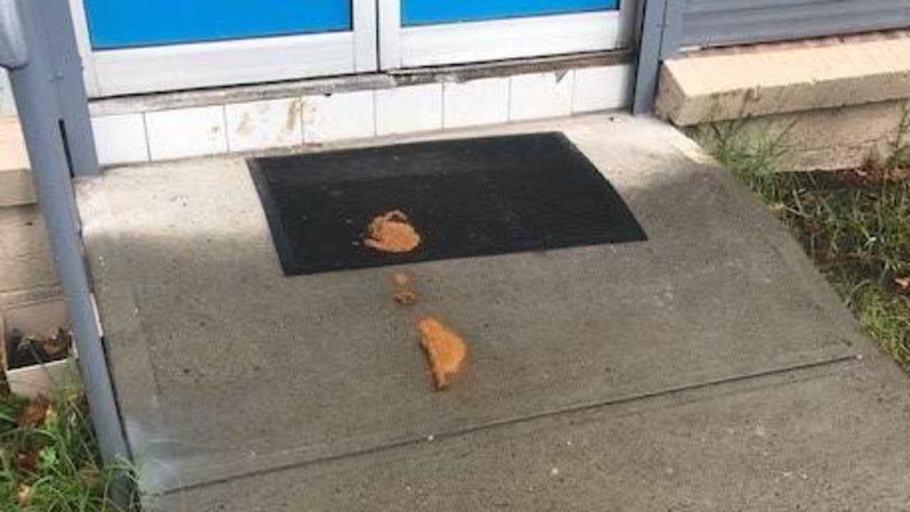 Man Caught On Cctv Doing Poo On Wollongong Street Video Au