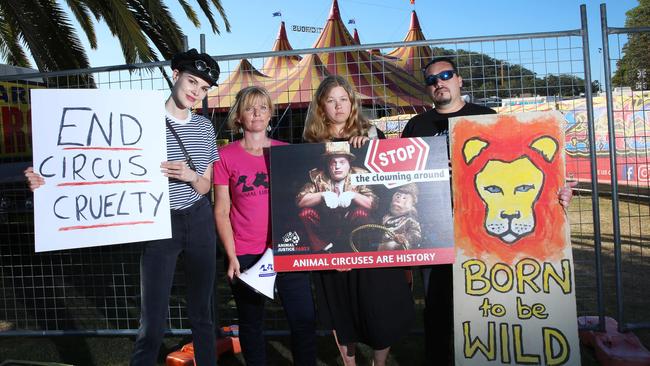 Animal Justice party protesting outside Stardust Circus. (AAP Image/Sue Graham)