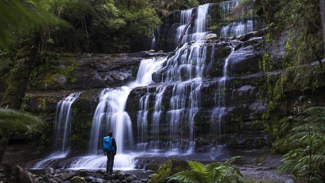 Get outdoors and go hunting for waterfalls during the school holidays. Mt Field National Park (pictured) is a good place to start.