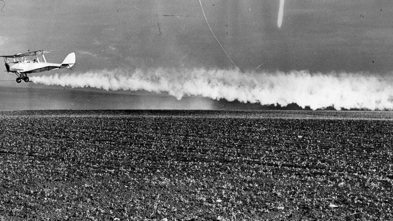 A low-flying Tiger Moth aeroplane is spraying a pea crop with DDT to exterminate red-legged earth mites.