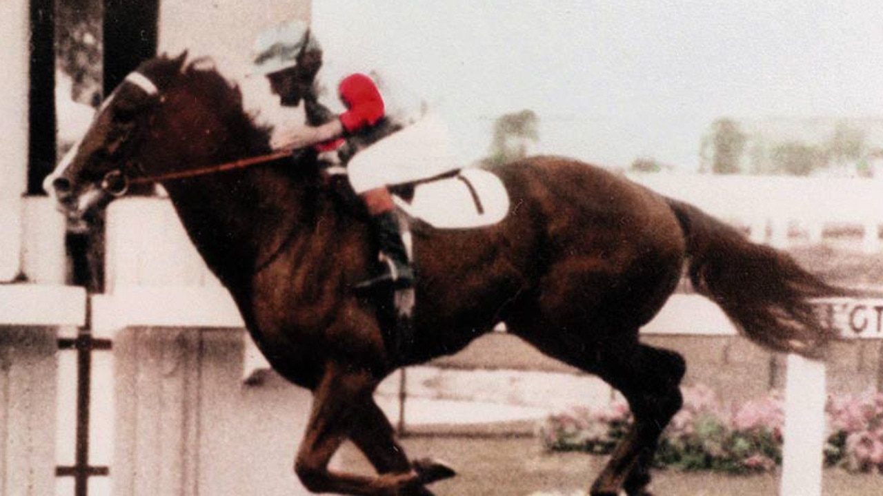 Racehorse Vain winning the 1969 Golden Slipper Stakes at Rosehill Gardens Racecourse in Sydney.