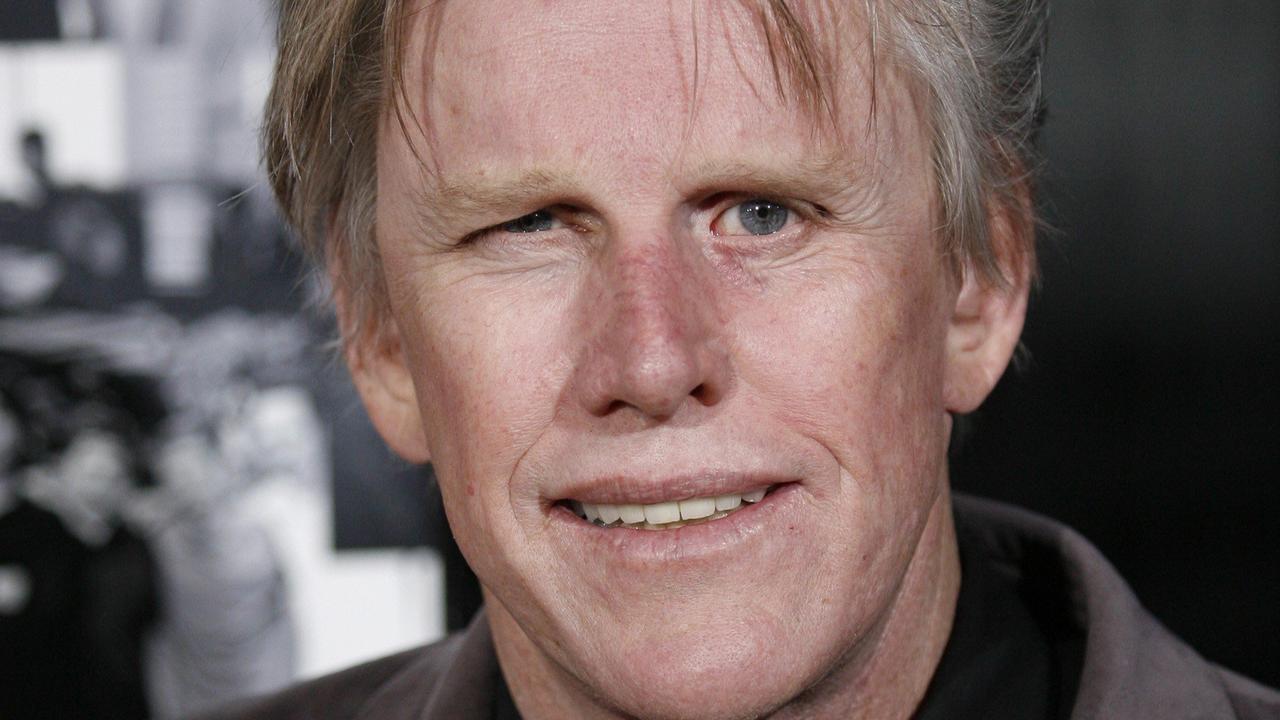 Gary Busey Charged With Sex Offences Over Incidents At Horror Convention Daily Telegraph