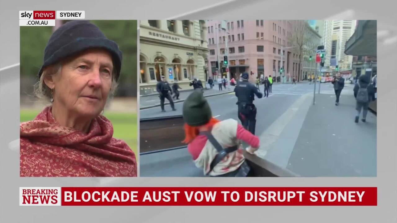 Activist Claims Public Was ‘not Upset’ About Climate Protest | Sky News ...