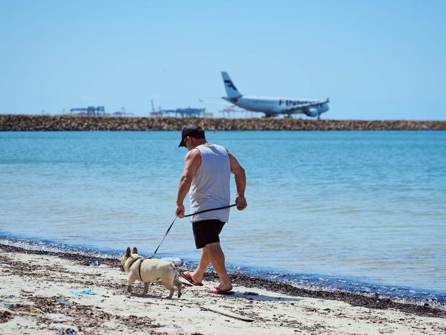 SYDNEY, AUSTRALIA - NewsWire Photos, January 04, 2025.  Commonwealth Beach or Tower beach has been quietly closed over contamination with cancer-causing chemicals :  Picture: NewsWire / Flavio Brancaleone