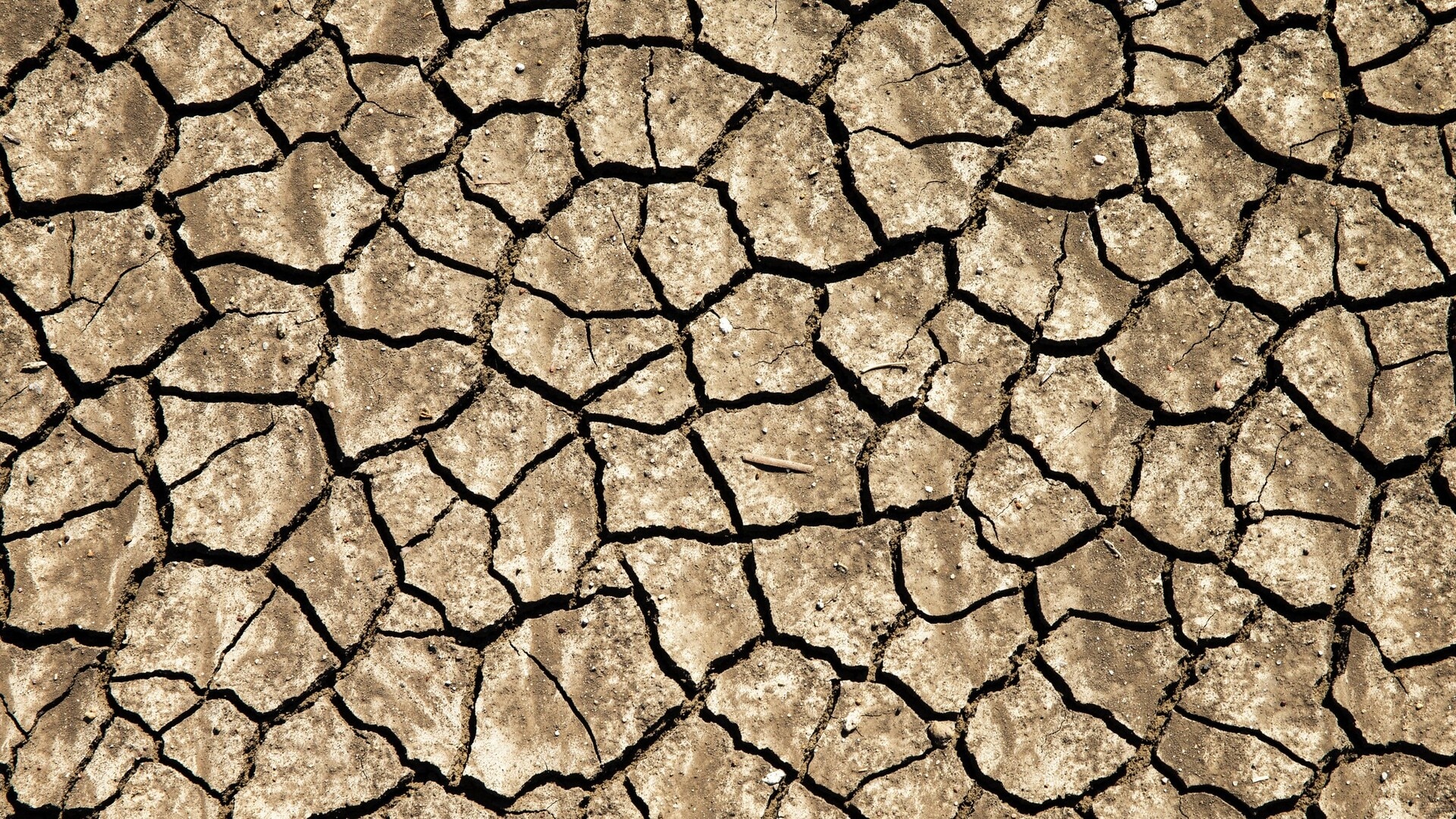 Victorian farmers under pressure as severe drought persists across parts of the state