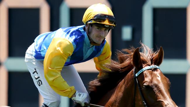 Apprentice Tyler Schiller rides Rosovo for trainer James Cummings. Picture: Getty Images