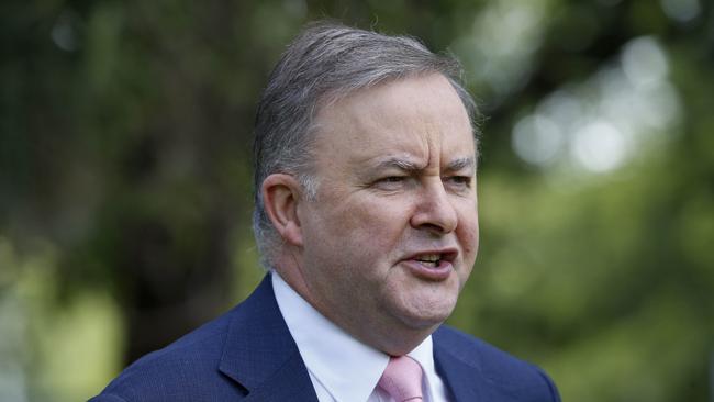 Anthony Albanese has called for common sense over Liberal MP Jason Falinski’s citizenship questions. Picture: AAP