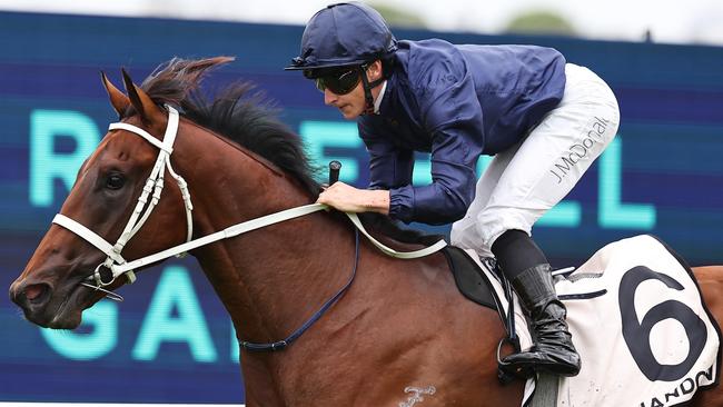 Long-time Golden Slipper favourite drew barrier two. Picture: Jeremy Ng/Getty Images