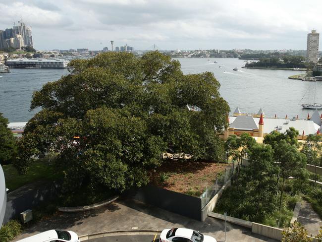 A view of the fenced off plot that adjoins the landscaped Harry’s Park to the right. Picture: Annika Enderborg