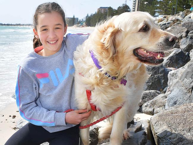 St Thomas School student Jessica Humphry, 11, of Clovelly Park sits on the rocks at Glenelg beach with her dog Rosie Sunday September,29,2019.(Image AAP/Mark Brake)