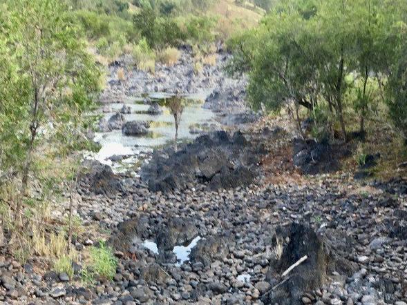 Dry conditions have reduced the Clarence River to barely a trickle immediately upstream of the junction with the Mann River at Coombadjha in the upper catchment.