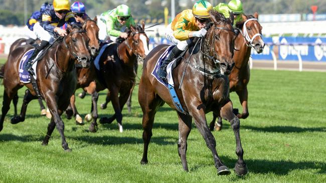 Estriella won two rich Flemington sprints with jockey Blake Shinn aboard in the autumn. Picture: Racing Photos