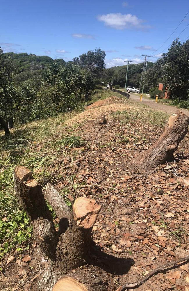 Eight island elders have called on Environment Minister Tanya Plibersek to stop a boardwalk from being built on headland at Minjerribah North Stradbroke Island, claiming the removal of trees was environmental vandalism. Picture: Supplied