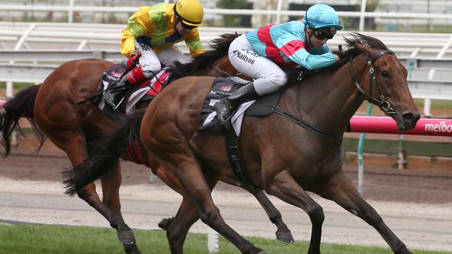 Magna Rossa ridden by Katelyn Mallyon wins race 4 at Flemington racecourse, new years day races. Friday, Jan 1. 2016. Picture: David Crosling