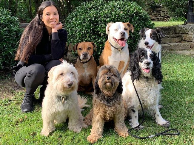 Nicola Teo with an Instagram photo for her new dog walking business Eastsidedogsau