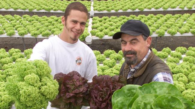 Ppaulmar hydroponics Michael Mitsud and his father Paul with some of their fresh lettuce.