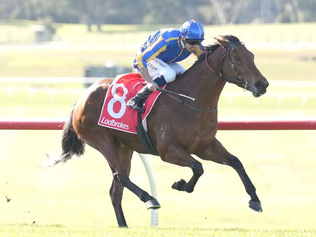 Promising filly Hypothetical will chase a second straight win when she contests the last race at Echuca on Friday.  Picture : Racing Photos via Getty Images.