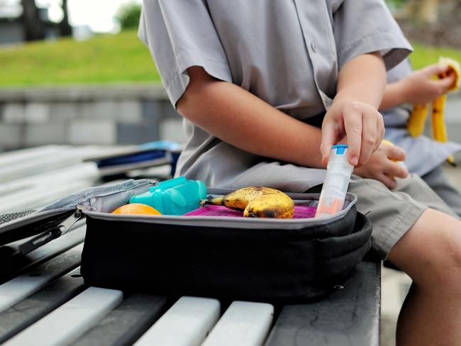 Young boy with an anaphylaxis auto injector. (FILE PHOTO)