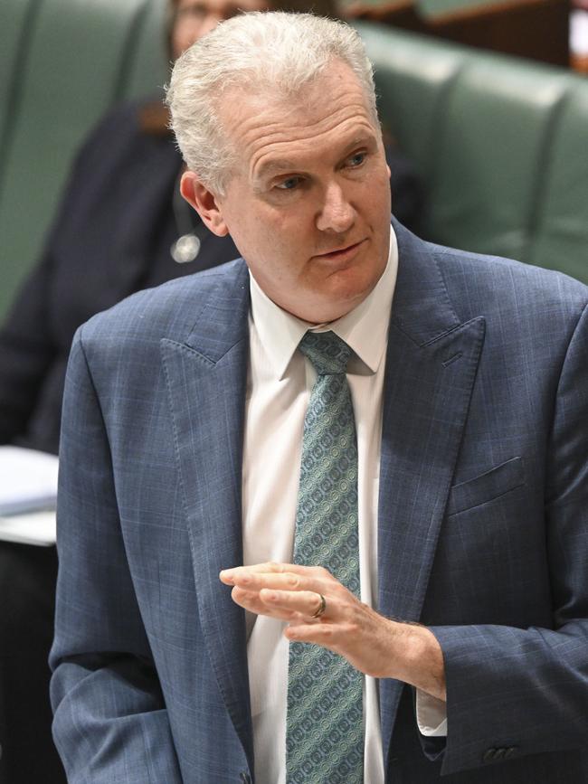 Tony Burke. Picture: NCA NewsWire / Martin Ollman